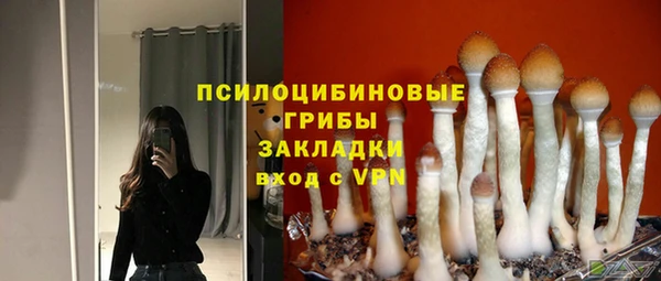 первитин Зерноград