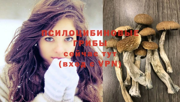 первитин Зерноград